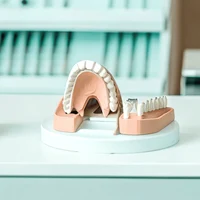 Лечение и протезирование